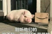 娱乐吃瓜酱猪猪视频下载,揭秘热门娱乐内容获取新方式